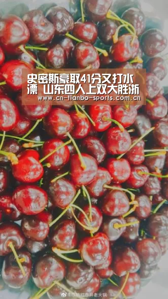 天博体育入口