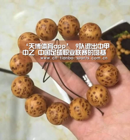 天博体育入口