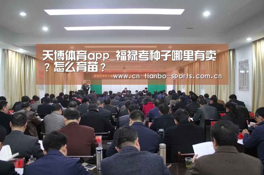 天博体育app_福禄考种子哪里有卖?怎么育苗?(图2) 天博体育下载