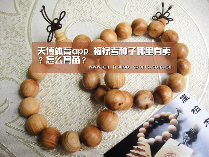天博体育app_福禄考种子哪里有卖?怎么育苗?(图4) 天博体育下载